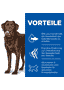 Canine Adult Healthy Mobility Large Breed