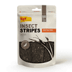 Insect Stripes avec courge