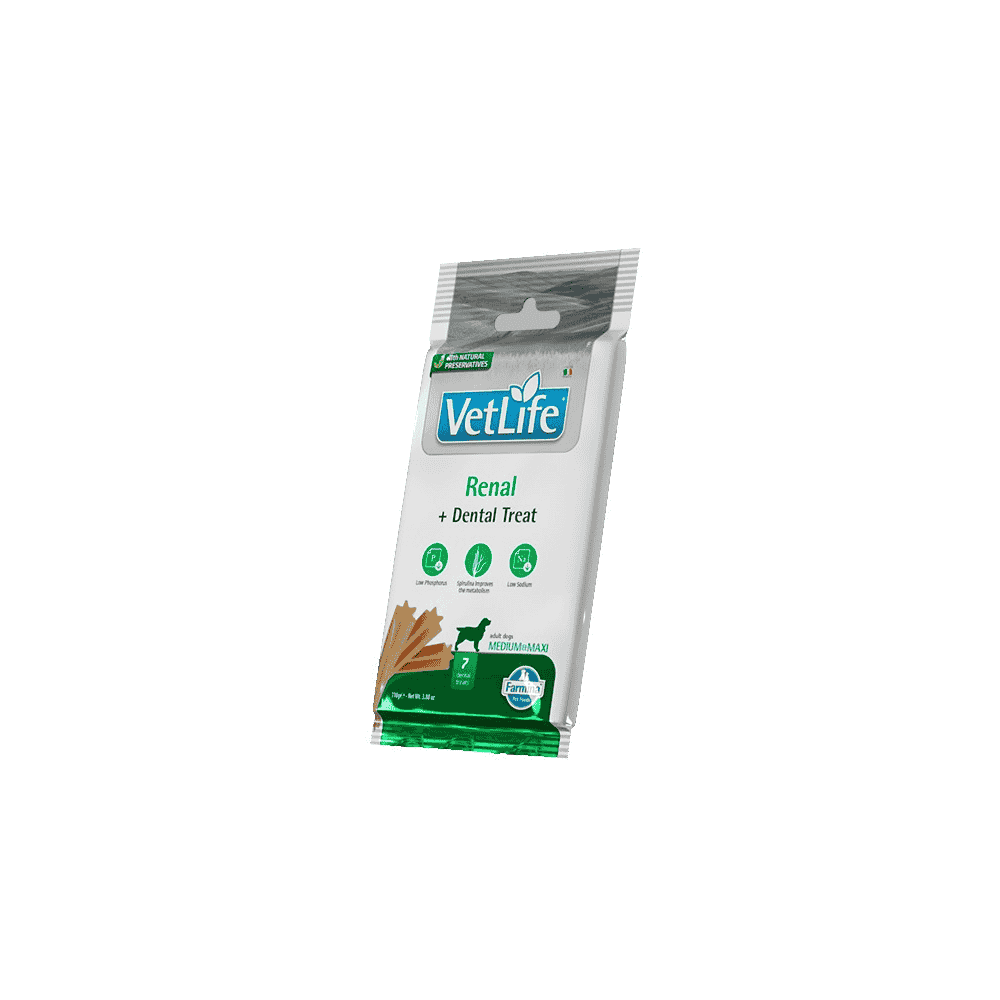 Canine Adult Medium/Maxi Renal - Dental Treat