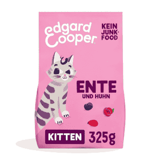 Kitten Ente & Huhn