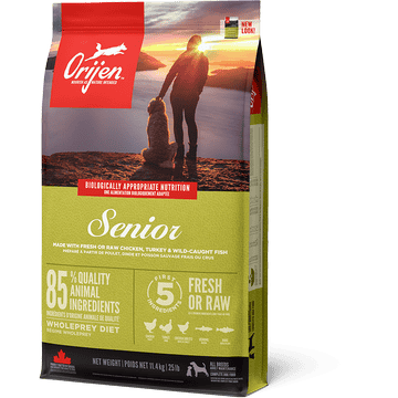 SENIOR Dog