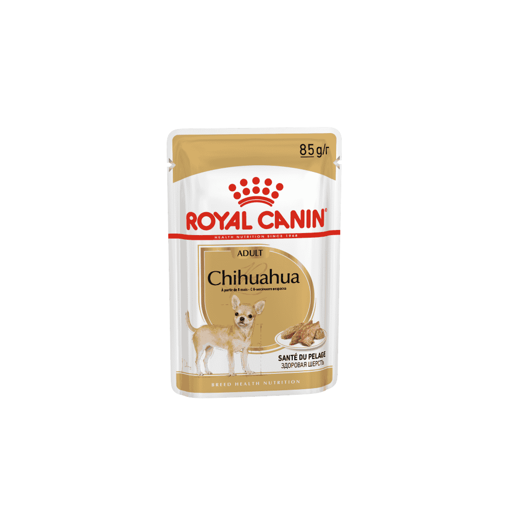 Chihuahua - sachet