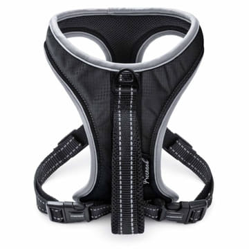 Harnais Sport Soi Uni noir
