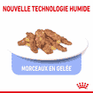 Indoor Sterilised Cat en gelée - sachet