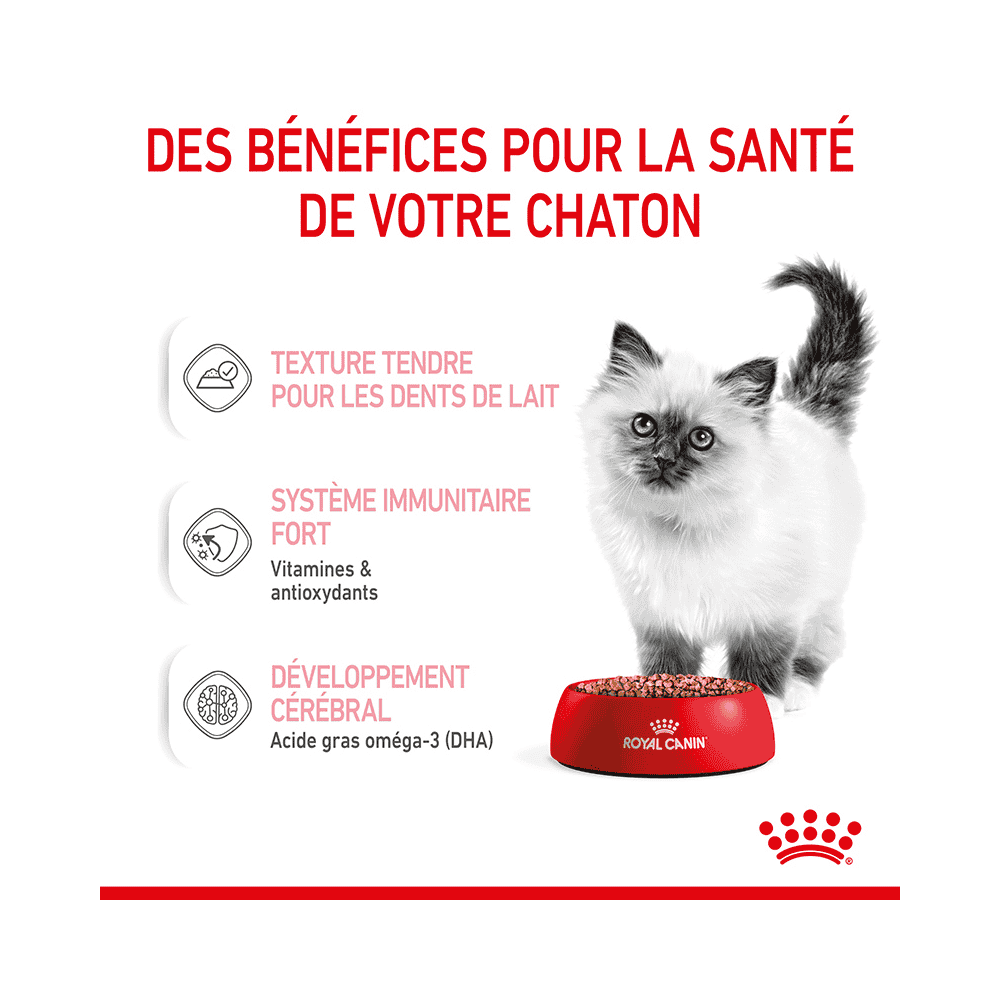 Kitten en sauce - sachet