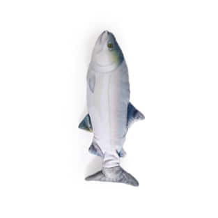 Jittering Fish