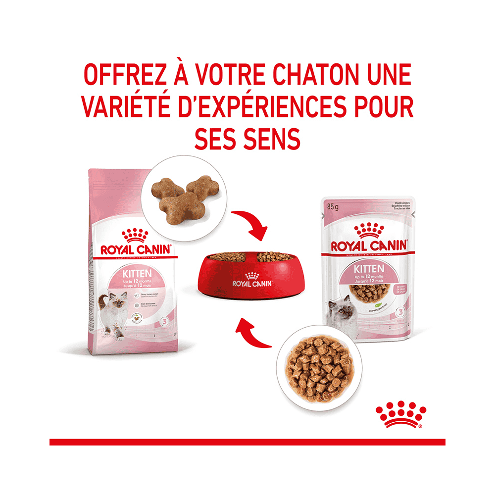 Kitten en sauce - sachet