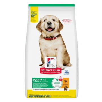 Canine Puppy Large Breed