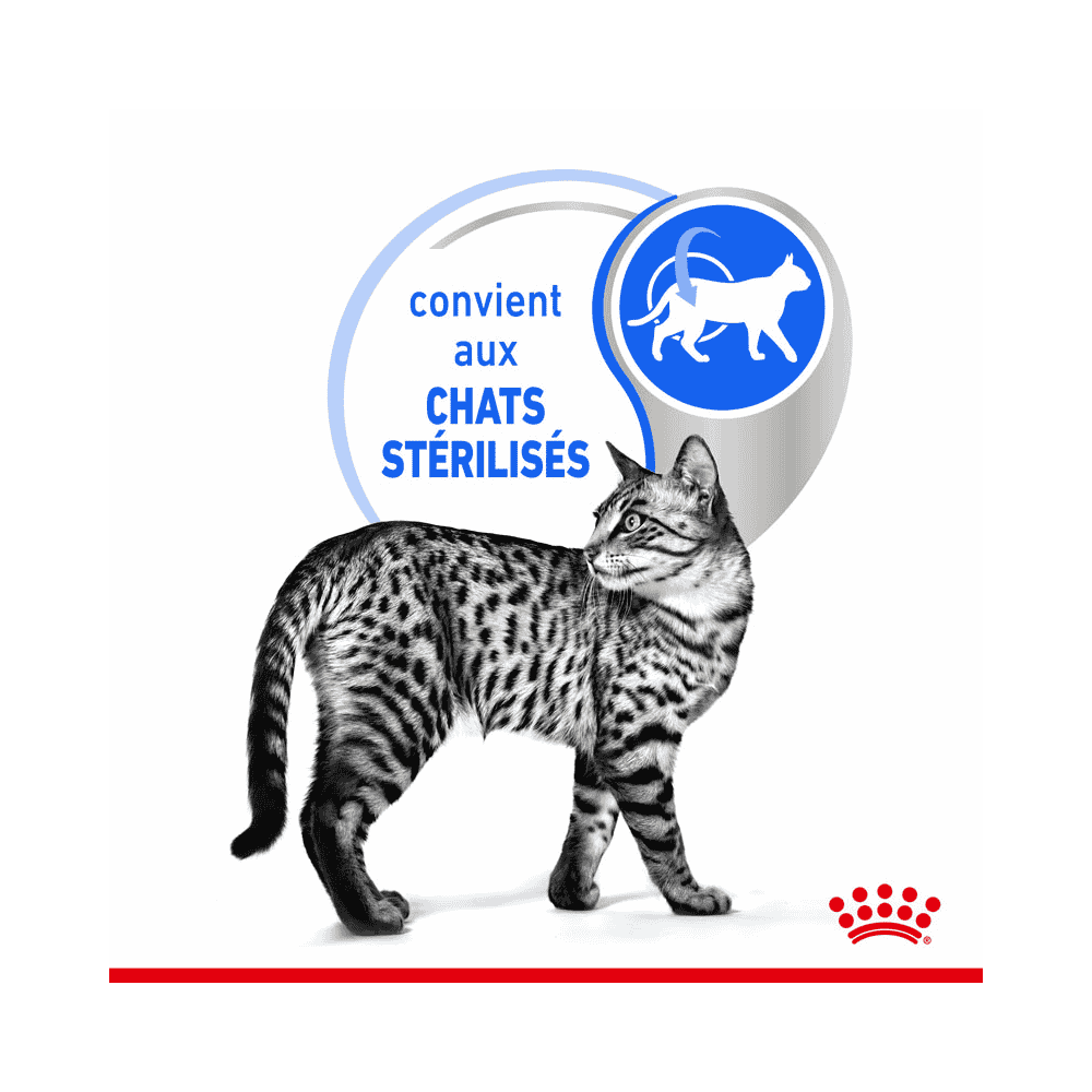 Indoor Sterilised Cat en gelée - sachet