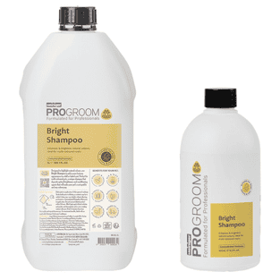 Bright Shampoo
