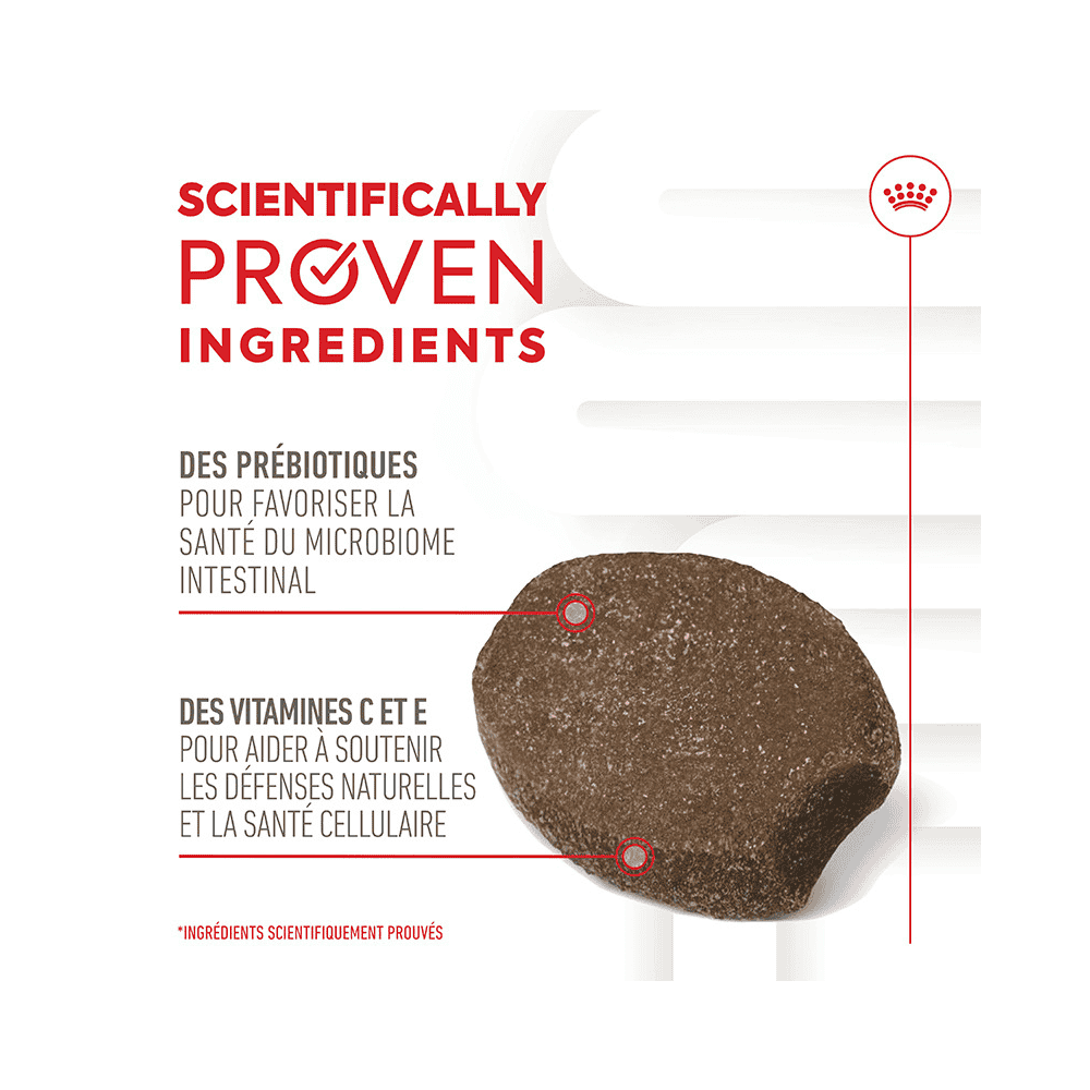 Immunity & Digestion Chews Puppy Supplements