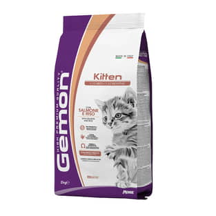 Cat Kitten Salmon and Rice