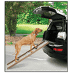 Auto Hunderampe Boarding