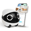 ROLA Mini Companion Robot