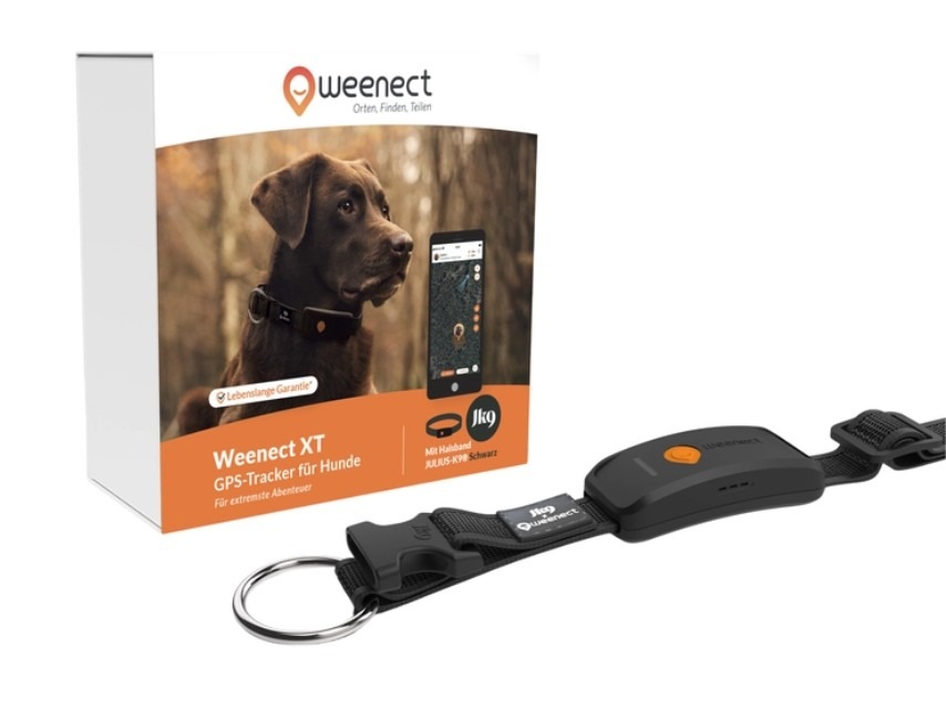 Traceur GPS pour chiens XT