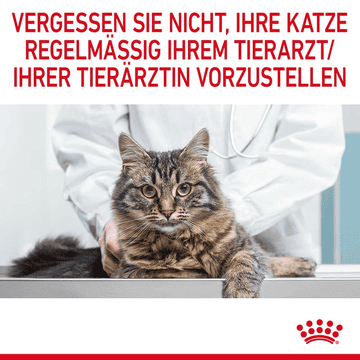 Digestive Care - Frischebeutel