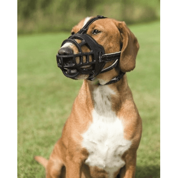 Maulkorb Muzzle Flex