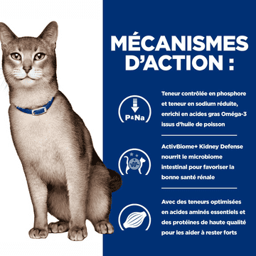 Feline k/d Kidney Care Chicken