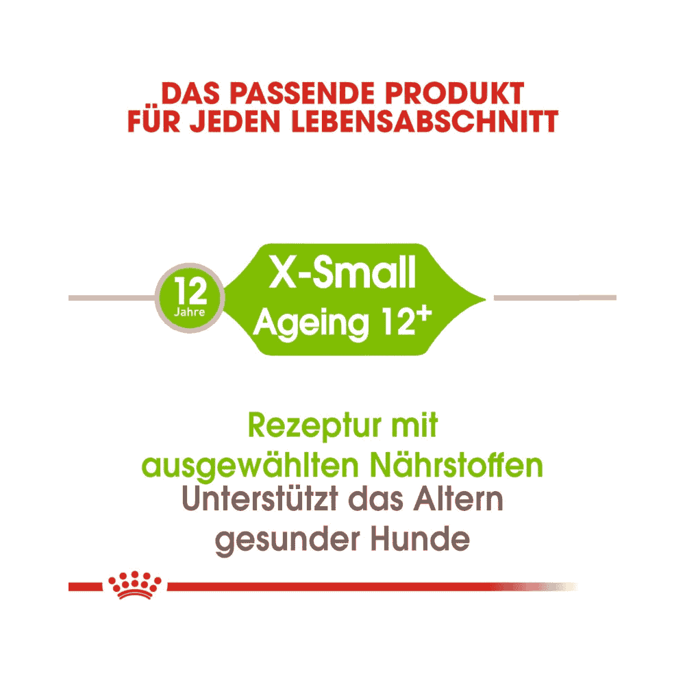 X-Small Ageing 12+