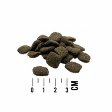 DOG Mono Kaninchen