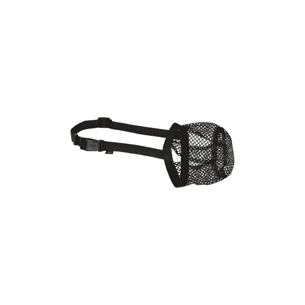 Protection anti-intoxication