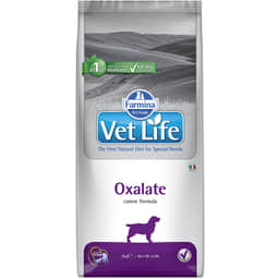 Canine Oxalate