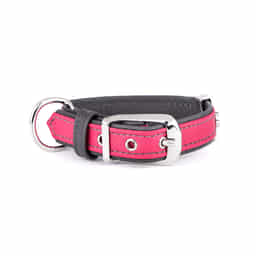 Firenze Vitello Halsband für Hunde in pink
