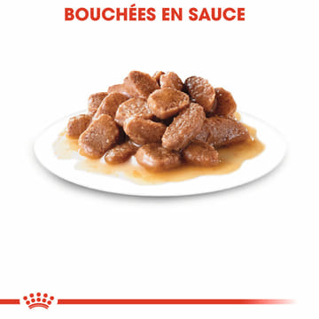 Instinctive 7+ en sauce - sachet