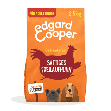 Adult Frisches Huhn