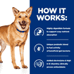 Canine i/d Digestive Care Turkey - Can