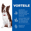Canine Perfect Digestion Medium Breed