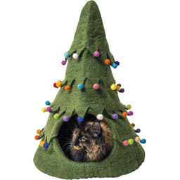 Höhle Weihnachtsbaum Grün