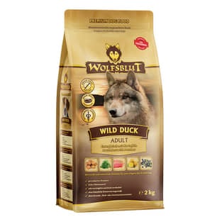 Wild Duck Adult