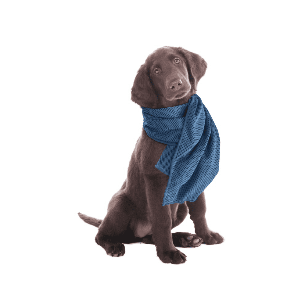Parky cooling towel