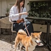 The Companion - Leather Dog Walking Pouch