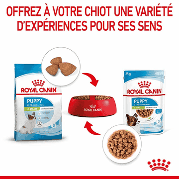 X-Small Puppy Gravy - Sachets