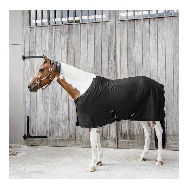 Cooler Fleece Rug - navy