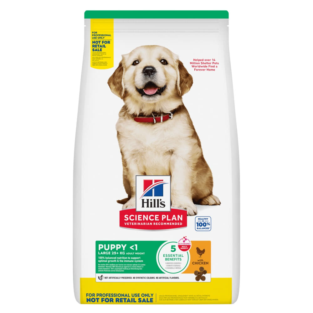 Canine Puppy Large Breed