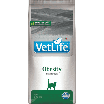 Feline Obesity