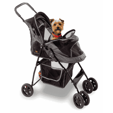 Globetrotter Hunde Buggy
