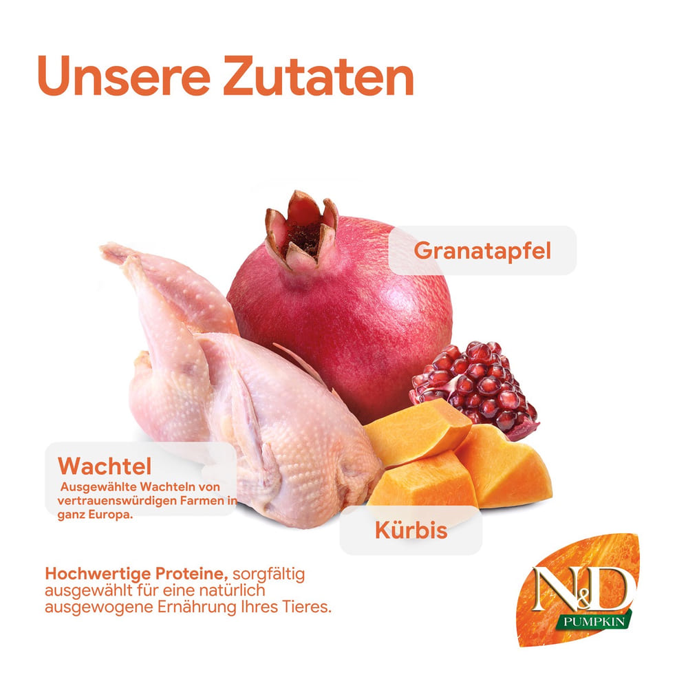 Feline Adult Kürbis Wachtel, Granatapfel
