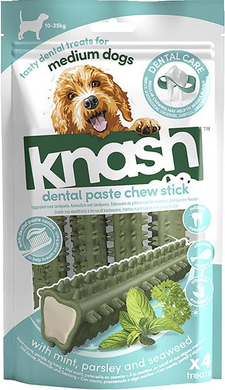 Dental Paste Chew Stick with mint