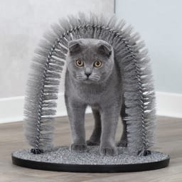 Arc de brosse pour chats