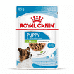 X-Small Puppy Gravy - Sachets