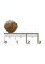 Purely Adult Getreidefrei Elch ALL BREED