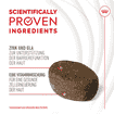 Skin & Coat Chews Adult Supplements