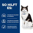 Feline y/d Thyroid Care - Dose