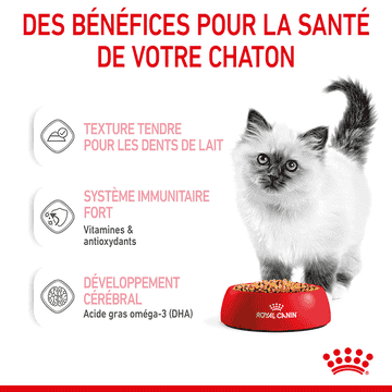 Kitten en gelée - sachet