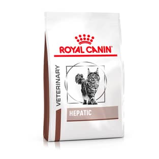Hepatic Cat