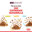 SENSORY SMELL, TASTE, FEEL en Sauce, Sachets